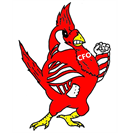 Columbus Football Organization