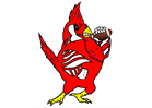 Registration for Youth Football Now Open